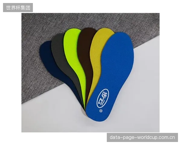 运动鞋垫的核心价值重估：其角色正从提升运动表现的“装备”，转变为基于热湿环境管理的“足部健康护具